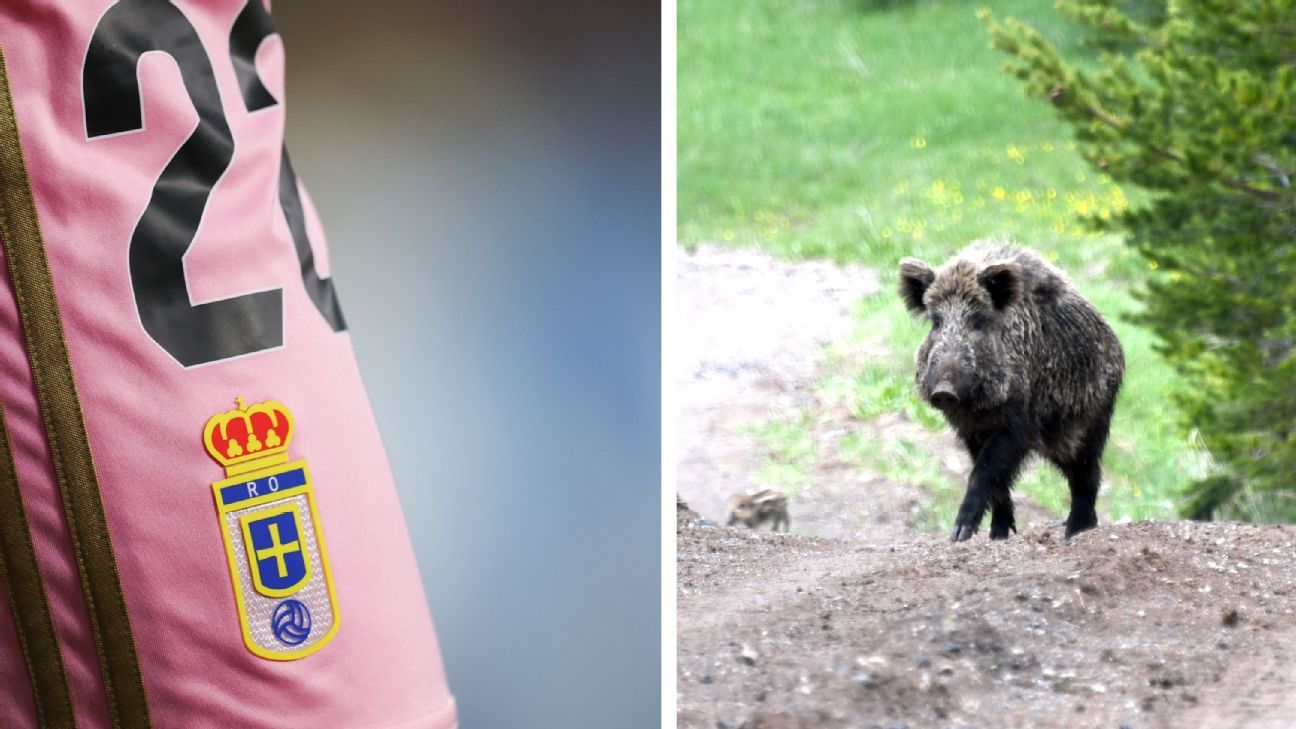Wild boars pile problems onto relegated Oviedo