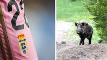 Wild boars strike repeatedly to pile problems onto relegated Real Oviedo