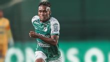 Versiones encontradas en Deportivo Cali y Bucaramanga por incidentes en Palmaseca