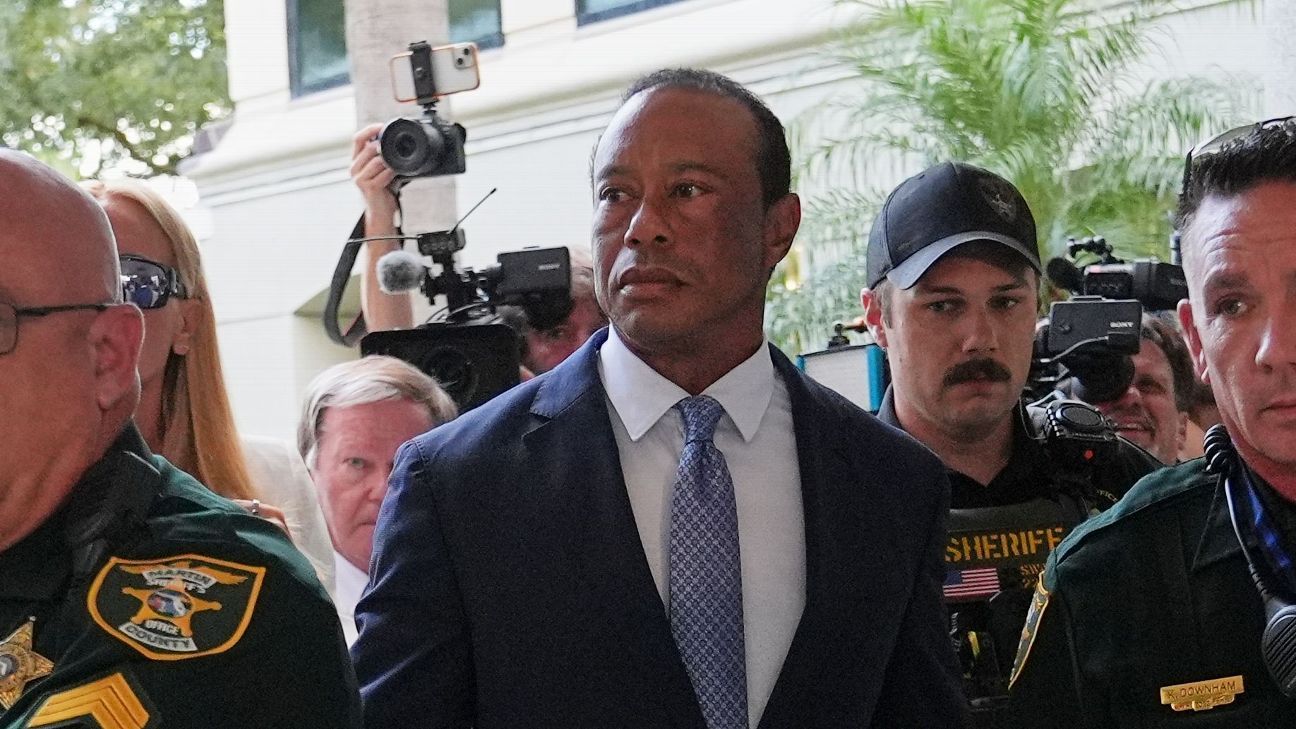 Tiger's license suspended 5 years after plea deal
