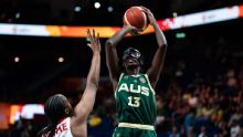 FIBA Women's World Cup Takeaways: No Smith, no worries as Opals pass Türkiye test
