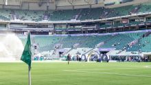 Palmeiras x Bahia: onde assistir ao vivo, horário, palpite e prováveis escalações do jogo do Brasileirão