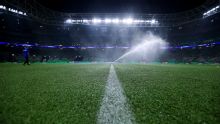 Palmeiras x Bahia: onde assistir ao vivo e escalações do jogo do Brasileirão