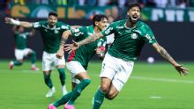 Como estão as chances de título do Brasileirão após atropelo do Palmeiras contra o Corinthians e vitória do Flamengo contra o Fluminense