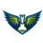 Dallas Wings