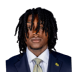 Cataurus Hicks