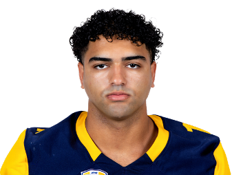 Sayed Abuhamdeh headshot