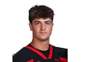 Joe Skule