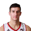 Luka Vulikic