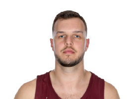 Admir Besovic