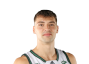 Matija Svetozarevic