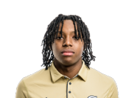 Akai Fleming
