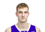 Marko Šarenac