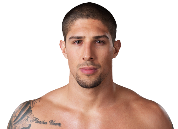 Brendan Schaub Stats, News, Bio | ESPN