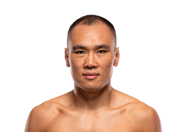 Ding Meng