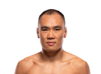 Ding Meng