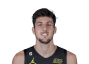 Leandro Bolmaro