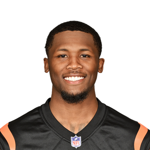 Tee Higgins headshot