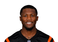 Tee Higgins headshot