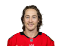 Tyler Bertuzzi