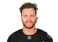 David Pastrnak
