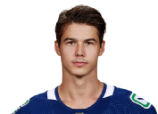 Nikolay Goldobin