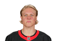 Fabian Zetterlund headshot