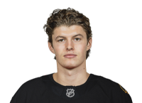 Lukas Reichel headshot
