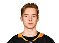 Sergei Murashov