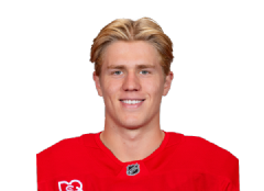 Michael Brandsegg-Nygård