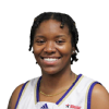 Tyginae Wright