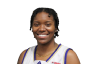Tyginae Wright