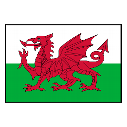 Wales U20