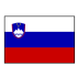Slovenia Ice Hockey