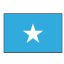SOM