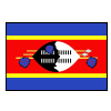 Eswatini Logo