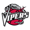 Rio Grande Valley Vipers