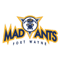 College Park vs. Fort Wayne Game Summary December 27 College Park vs. Fort Wayne Game Summary December 27