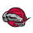Rio Grande Valley Vipers