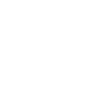 Toronto Raptors