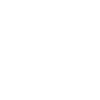 Allegheny Gators
