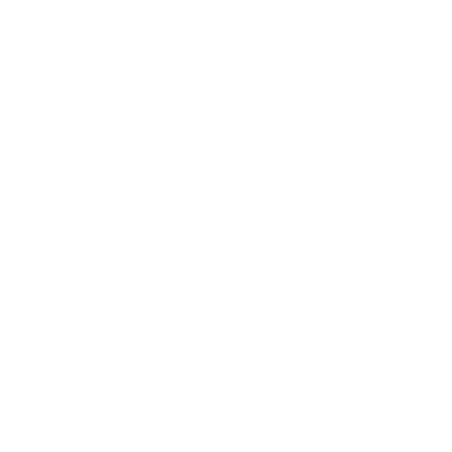 Buffalo Bulls Buffalo Bulls