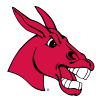 Central Missouri Mules