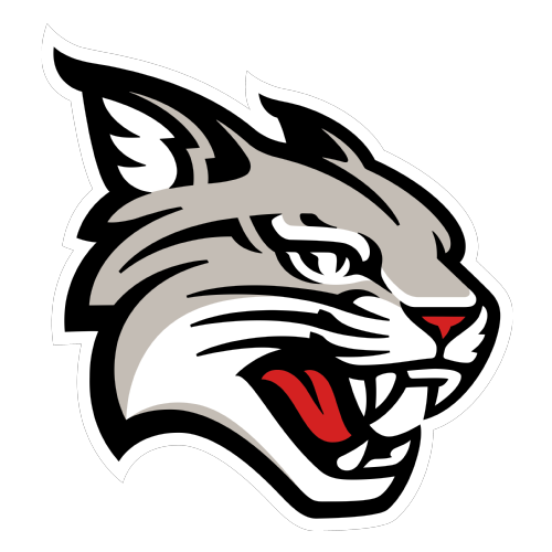 Davidson Wildcats Davidson Wildcats