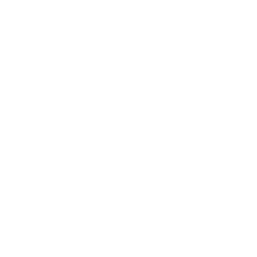 Temple Owls Temple Owls