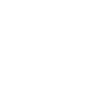 Duquesne Dukes