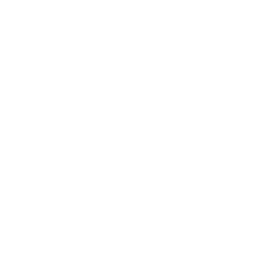 High Point Panthers High Point Panthers