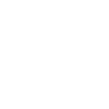 Lane Dragons