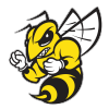 Randolph-Macon Yellow Jackets