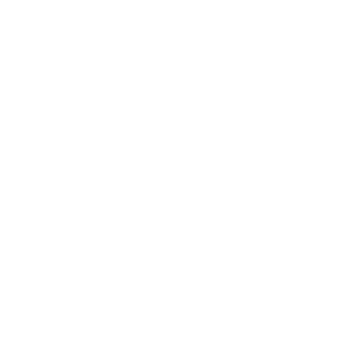 West Virginia Mountaineers West Virginia Mountaineers